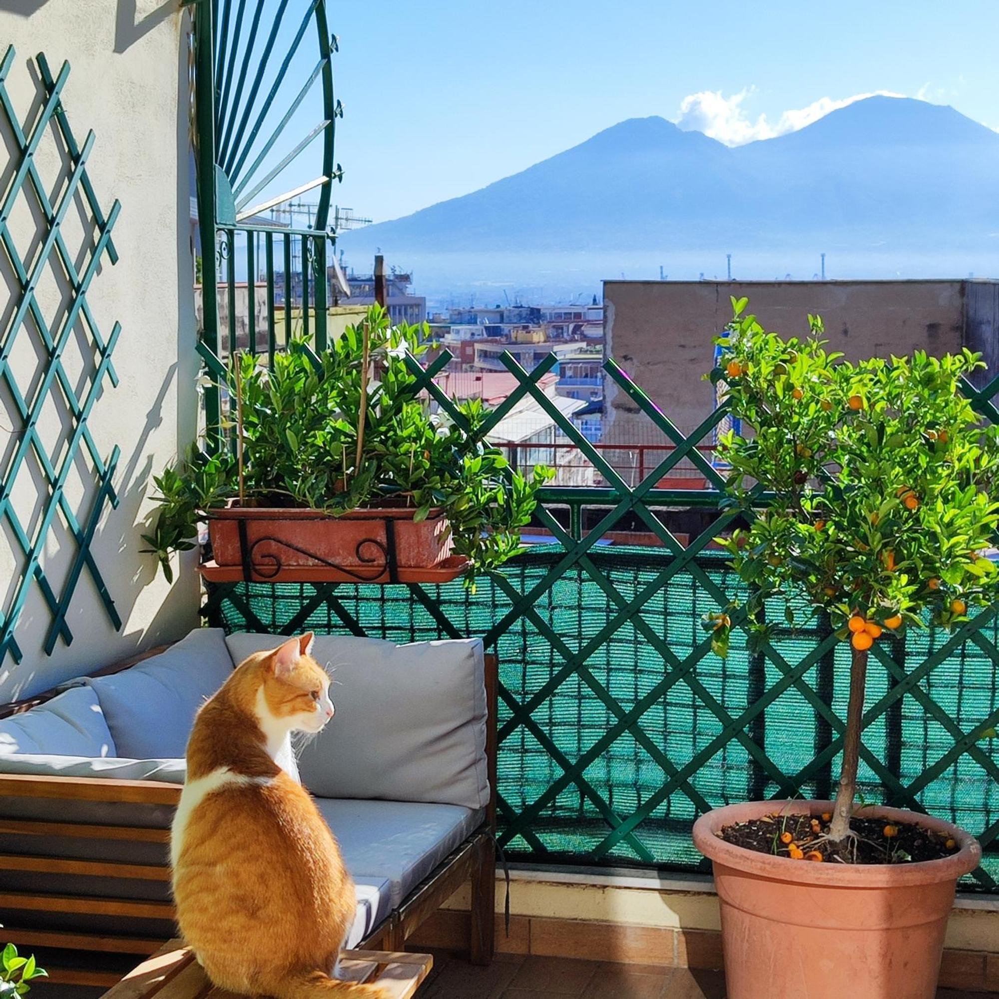 La Casa Blu Bed & Breakfast Napoli Ngoại thất bức ảnh